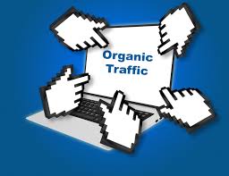 Unleashing the Potential of Organic Traffic: Driving Sustainable Growth for Your Website