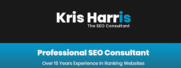 Maximising Online Success with a Professional SEO Consultant