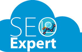 hire seo expert