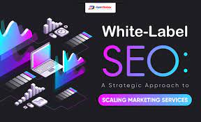 Maximise Your Online Potential with White Label SEO Services