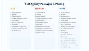 Unlocking Success: Maximising Potential with Monthly SEO Services